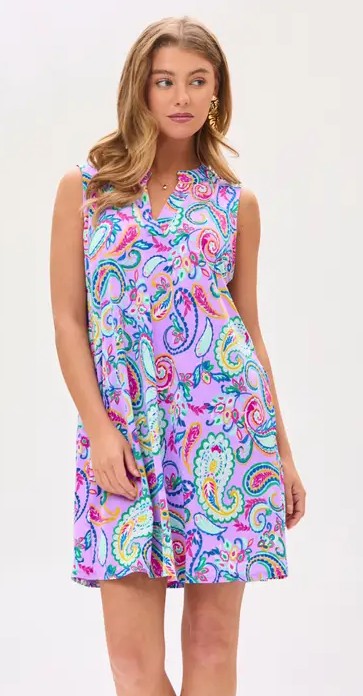 Floral Print Lizzy Back Pleat Detail Mini Dress