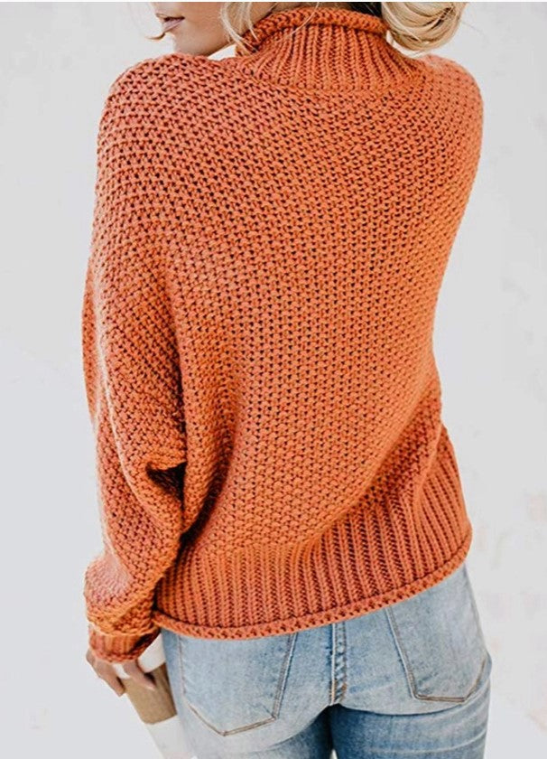 Solid Color Pullover with Thick Line Turtleneck